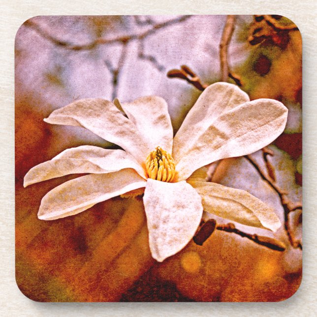 Magnolia Mood Coaster (Front)