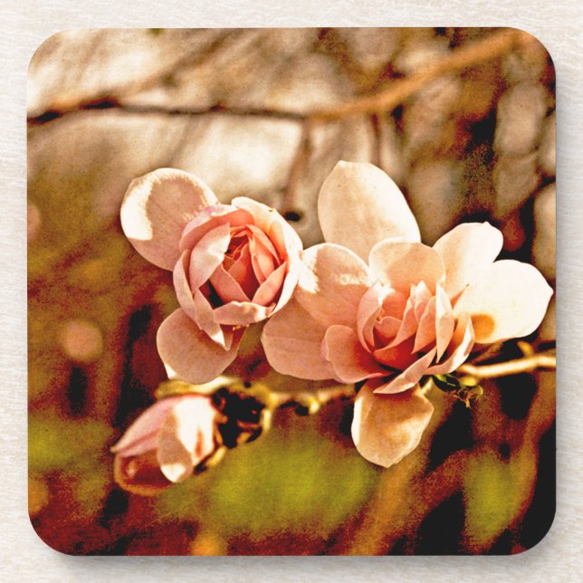 Magnolia Mood in Pink Coaster (Front)