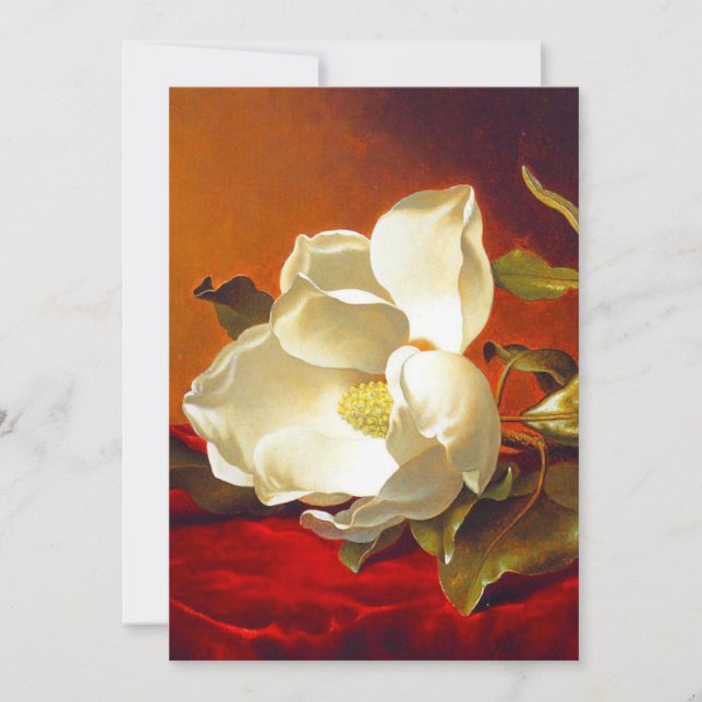 Magnolia on Red Velvet Martin Johnson Heade Announcement (Front)