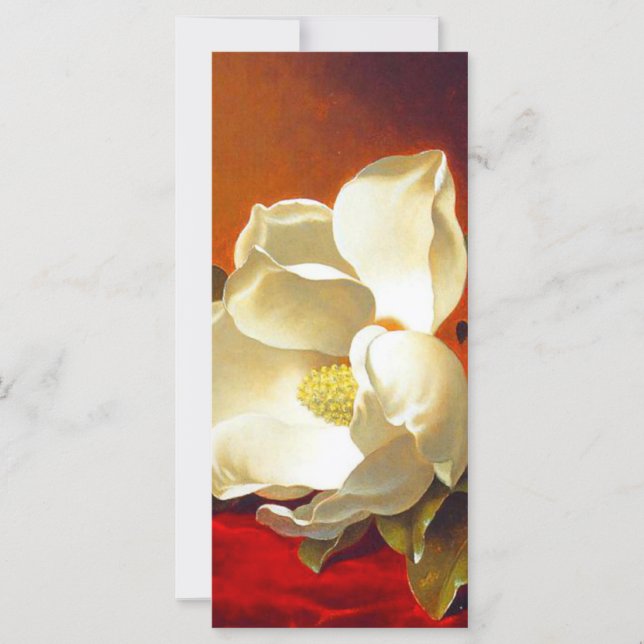 Magnolia on Red Velvet Martin Johnson Heade Card (Front)