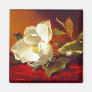 Magnolia on Red Velvet Martin Johnson Heade Magnet