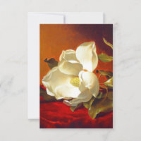 Magnolia on Red Velvet Martin Johnson Heade