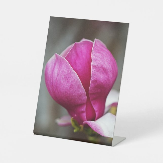 Magnolia Pink Full Bloom Pedestal Sign (Front)