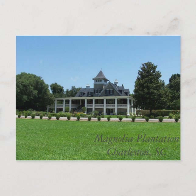 Magnolia Plantation Postcard (Front)