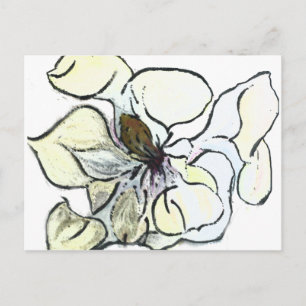 Magnolia Postcard