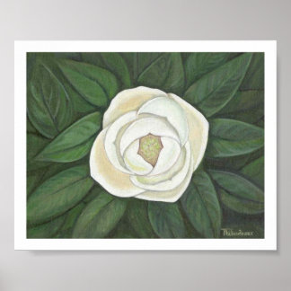 Magnolia print