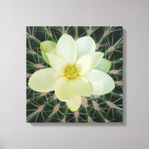 Magnolia sweetbay canvas print
