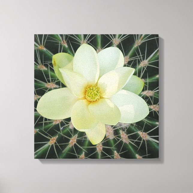 Magnolia sweetbay canvas print (Front)