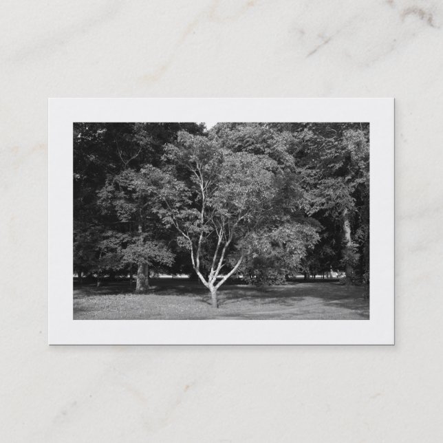 Magnolia Tree BW (Bordered) Business Card (Front)