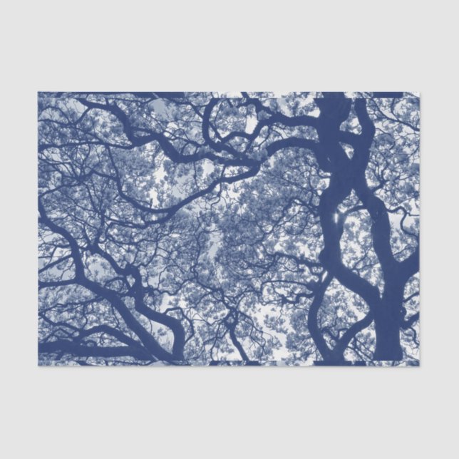 Magnolia Tree - Cyanotype Effect Tissue Paper (Front)