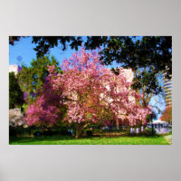 Magnolia Tree Digital Art Painting