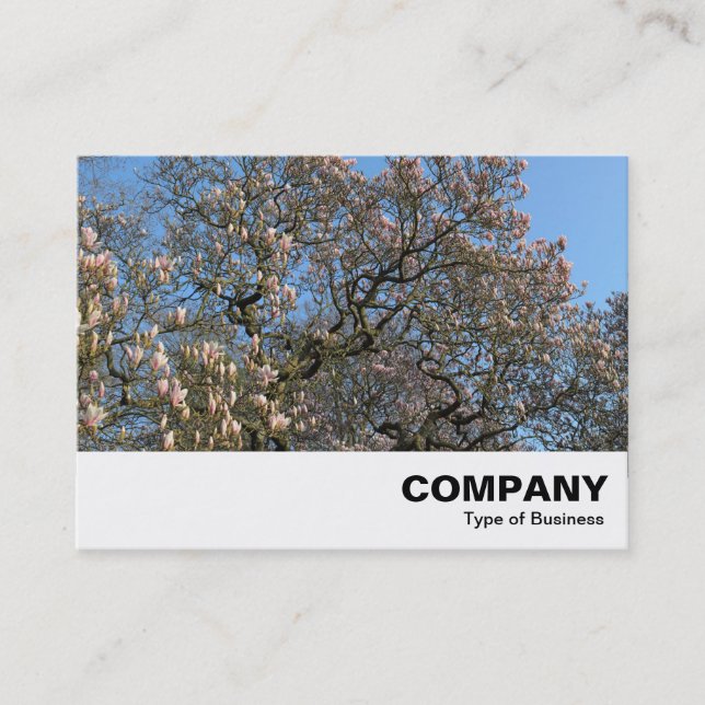 Magnolia Tree in Blossom Business Card (Front)