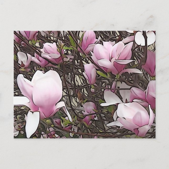 Magnolia Tree Postcard (Front)