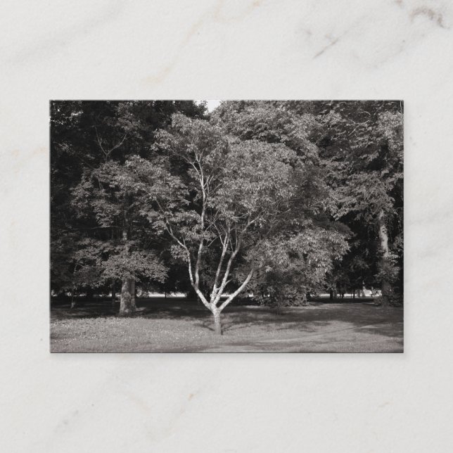 Magnolia Tree - Warm BW Business Card (Front)