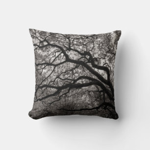 Magnolia Trees in Blossom 01 Cushion
