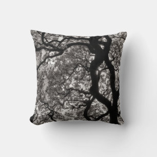 Magnolia Trees in Blossom 02 Cushion