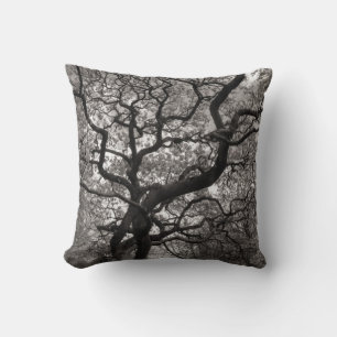 Magnolia Trees in Blossom 03 Cushion