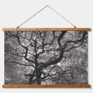 Magnolia Trees in Blossom 03 Hanging Tapestry