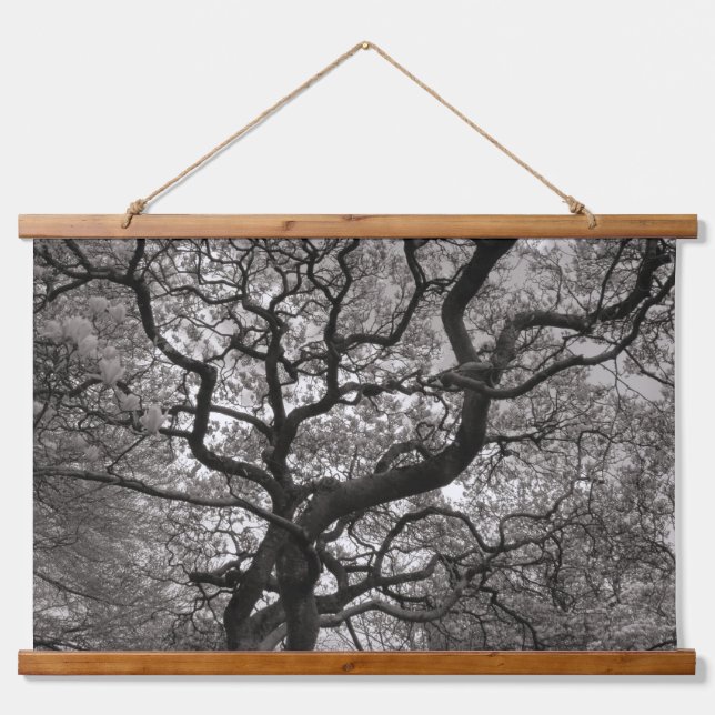 Magnolia Trees in Blossom 03 Hanging Tapestry (Front)
