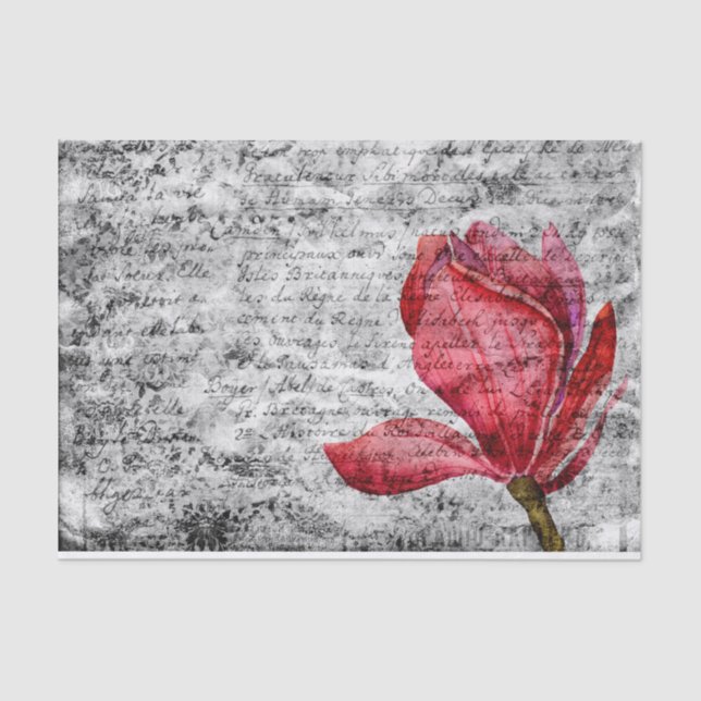 Magnolia Vintage Paper (Front)