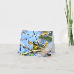 Magnolia Warbler - Blank Note Card