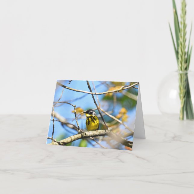 Magnolia Warbler - Blank Note Card (Front)