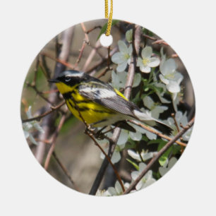 Magnolia Warbler Ceramic Tree Decoration