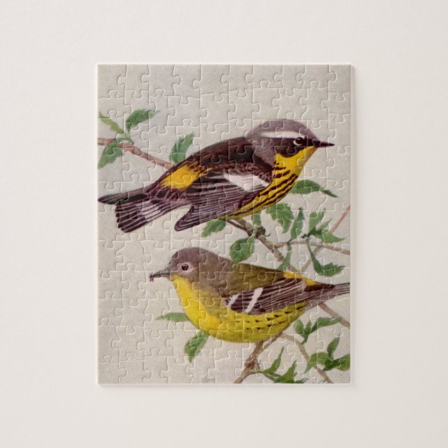 Magnolia Warbler Painting by Louis Agassiz Fuentes Jigsaw Puzzle (Vertical)