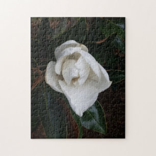 magnolias 1 jigsaw puzzle