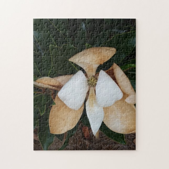 magnolias 2 jigsaw puzzle (Vertical)