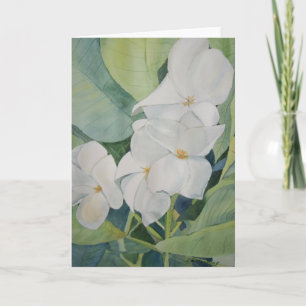 Magnolias in Texas Greeting Card