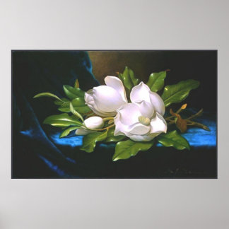 Magnolias on Blue Velvet Poster