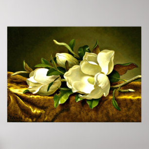 Magnolias on Gold Velvet Cloth, fine art painting Poster