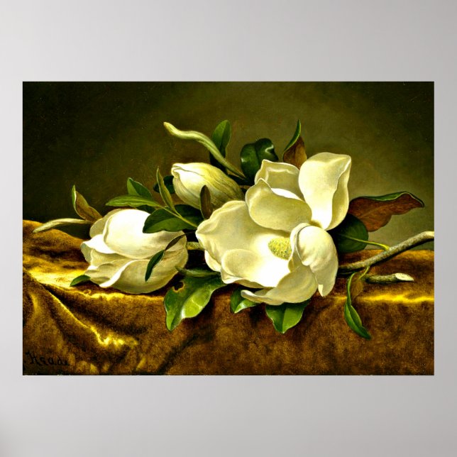 Magnolias on Gold Velvet Cloth, fine art painting Poster (Front)