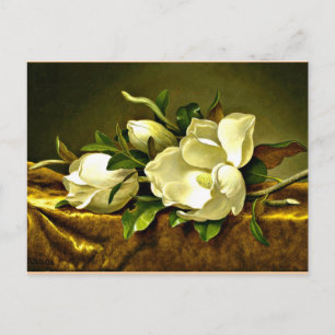 Magnolias on Gold Velvet Cloth Postcard