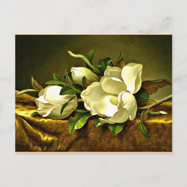 Magnolias on Gold Velvet Cloth Postcard (Front)