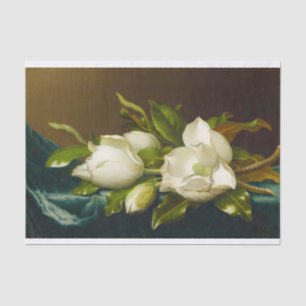 Magnolias on Light Blue Velvet Cloth by M J Heade Tissue Paper
