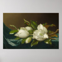 Magnolias on Light Blue Velvet ,Famous Painting
