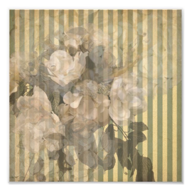Magnolias on stripes vintage paper photo print (Front)
