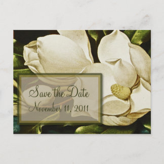 Magnolias Wedding Save the Date Postcard