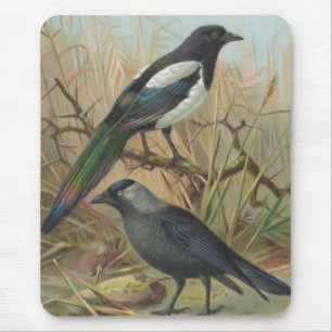 Magpie and Jackdaw Vintage Bird Illustration Mouse Pad
