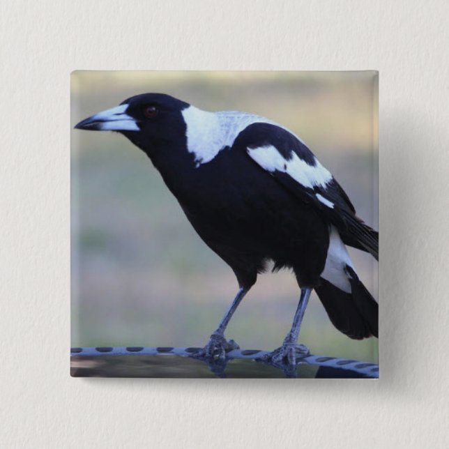 Magpie Badge (2) Perfect for Collingwood F.C. (Front)