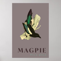 Magpie bird vintage  Poster