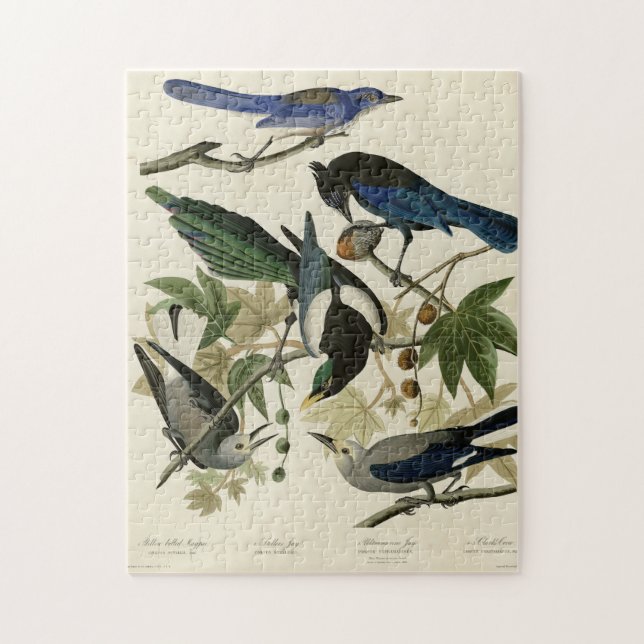 Magpie Jays & Nutcracker Audubon Birds of America  Jigsaw Puzzle (Vertical)