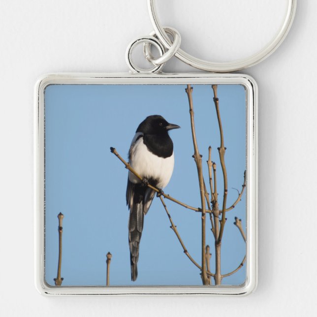 Magpie Key Ring (Front)
