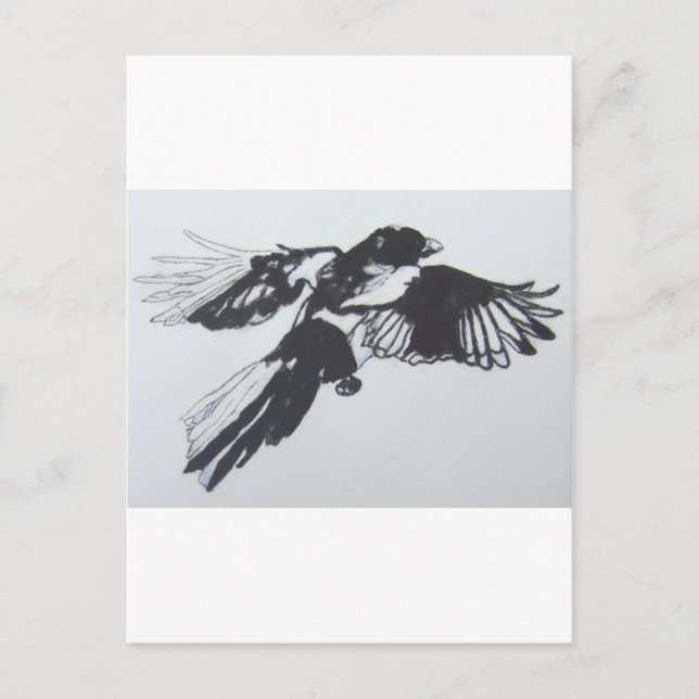 Magpie Postcard (Front)
