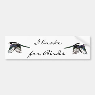 Magpie - Watercolor Bird Bumper Sticker