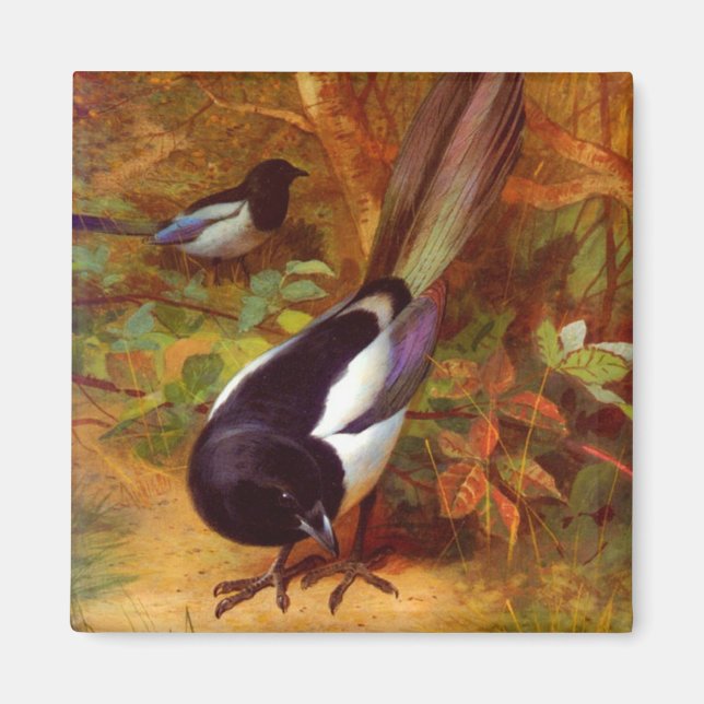 Magpies Magnet (Front)