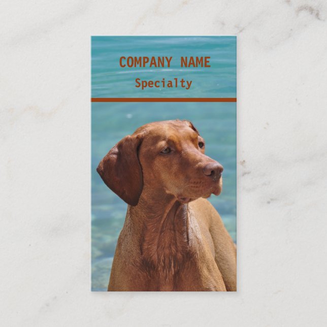 Magyar Vizsla Dog Business Cards (Front)