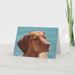 Magyar Vizsla Dog Card